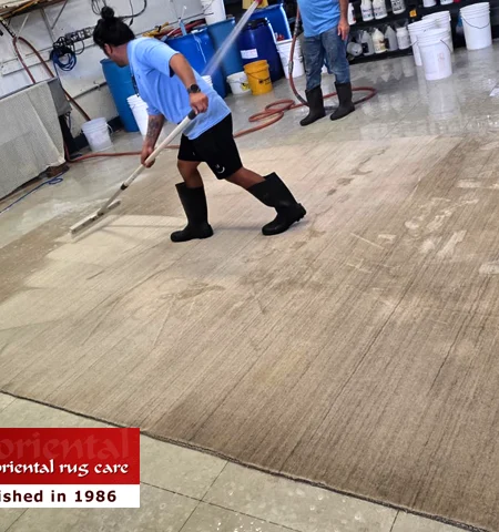 Viscose Rug Care Cleaning