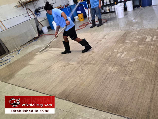 Viscose Rug Care Cleaning